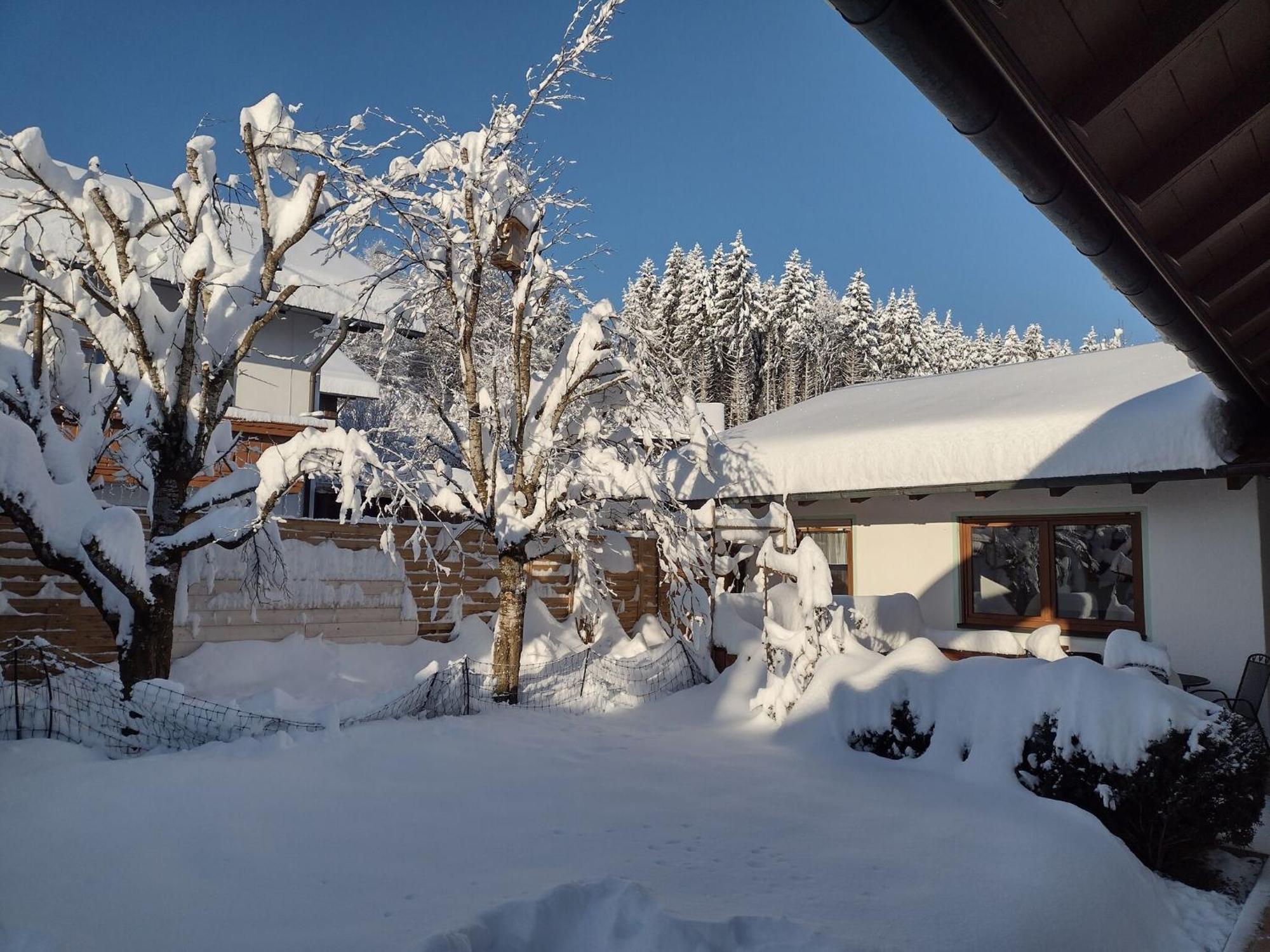 Cosy Holiday Home With Sauna In The Allg U Burggen Buitenkant foto